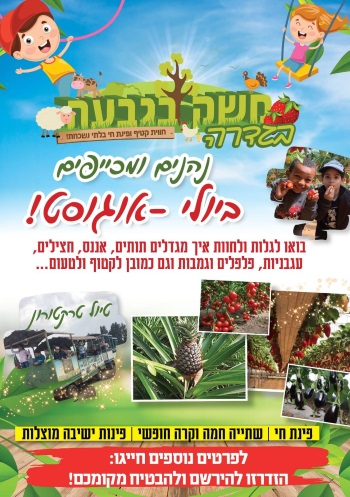משק בגבעה קייטנה